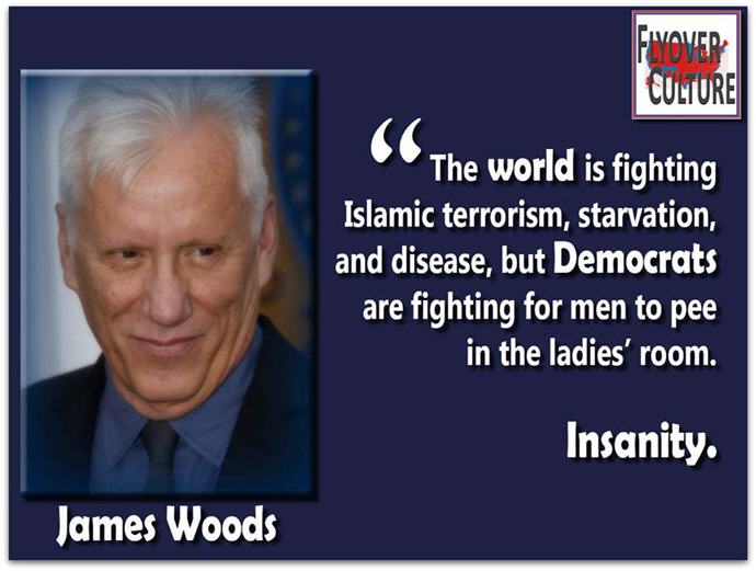 james-woods-meme-liberal-stupidity