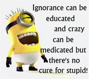 minion-no-cure-for-stupid
