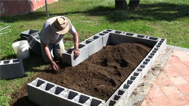 lost book of remedies raised bed garden